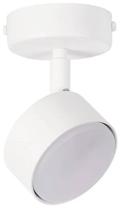 Oświetlenie punktowe NEMO 1xGX53/12W/230V biały