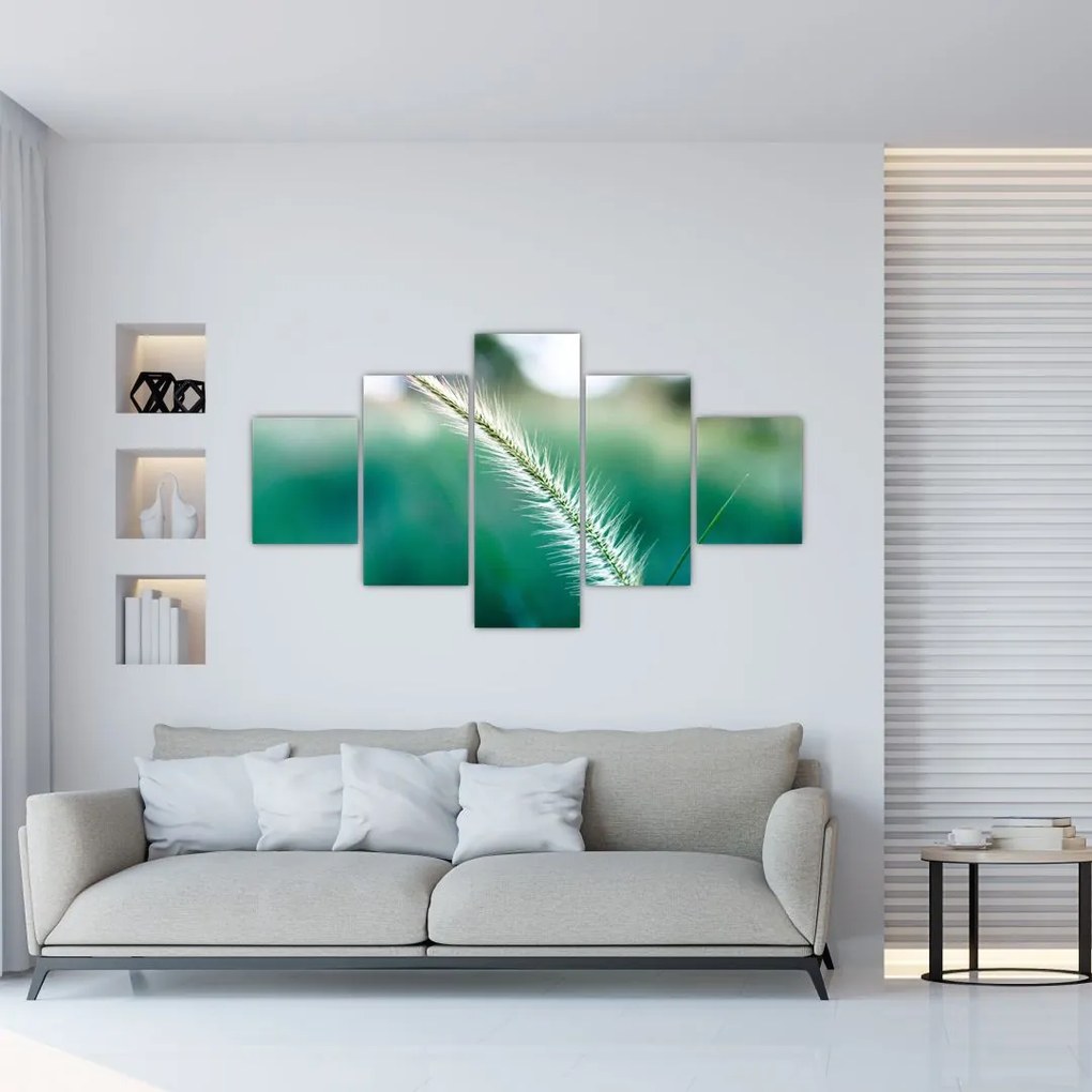 Obraz źdźbła trawy (125x70 cm)