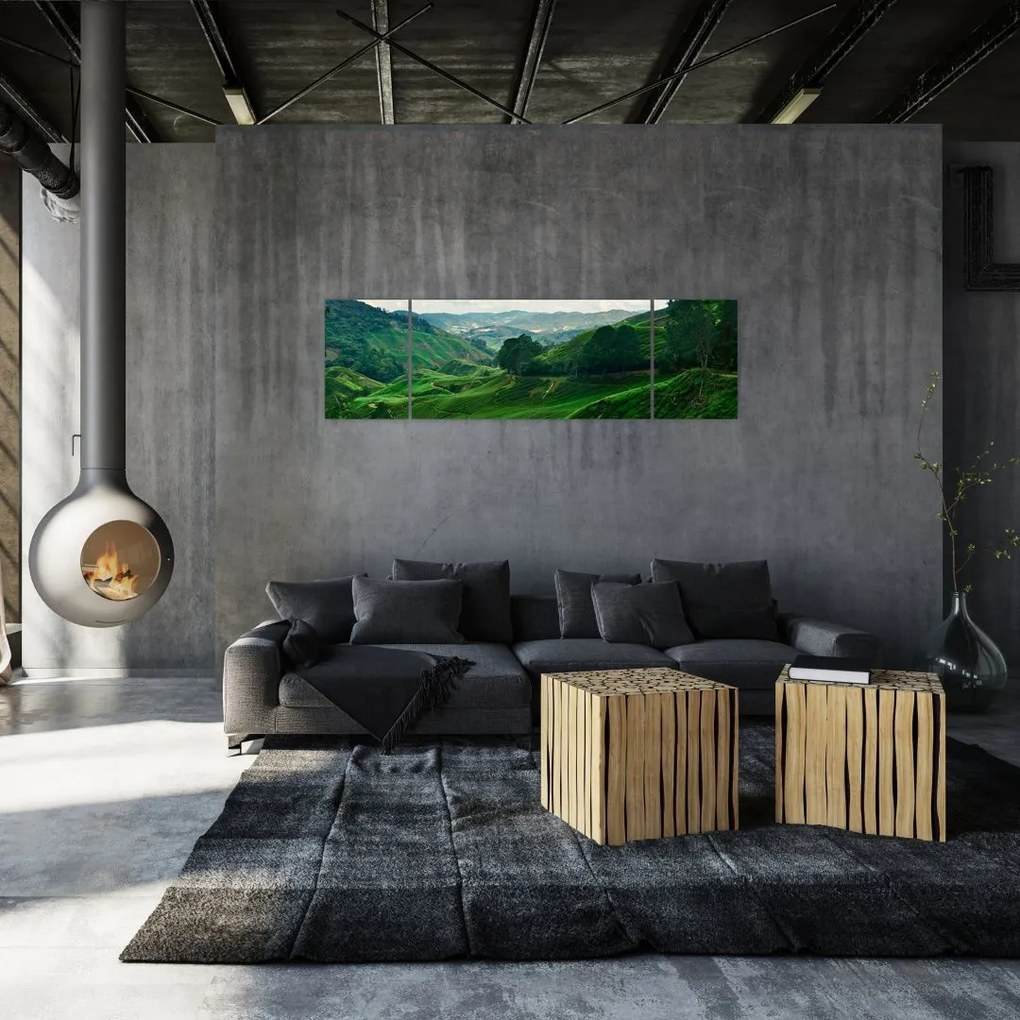 Obraz - Plantacje herbaty w Malezji (170x50 cm)