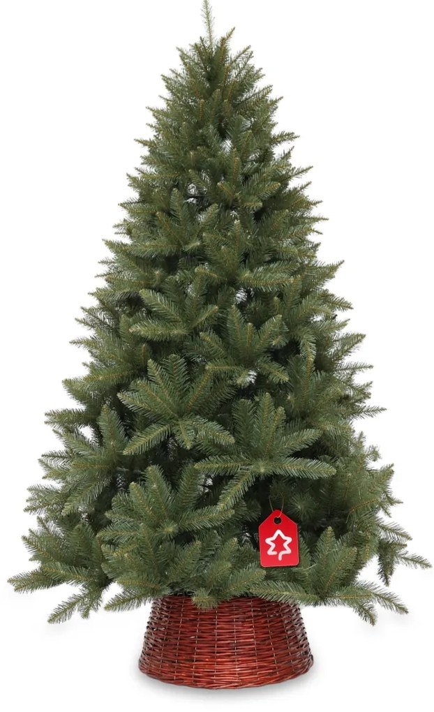 Świerk kaukaski 210 cm