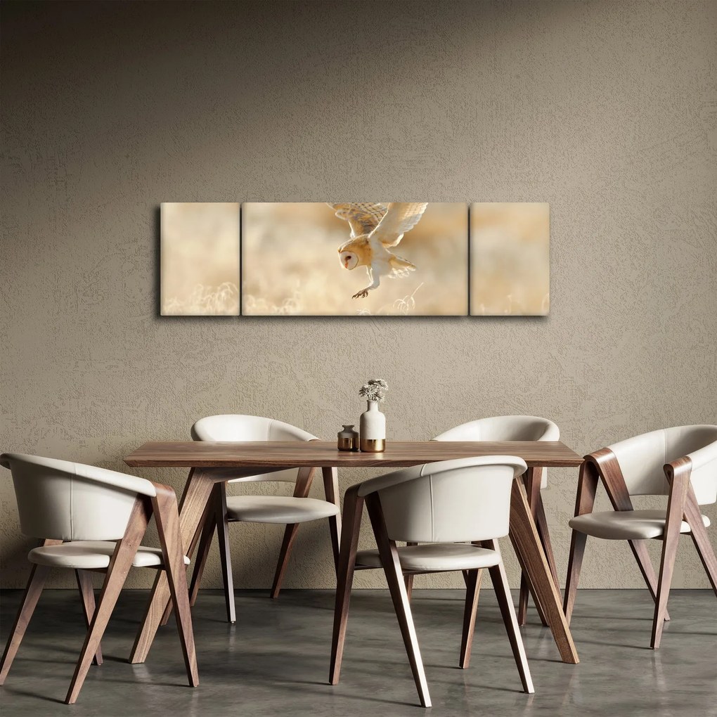 Obraz - Sowa (170x50 cm)