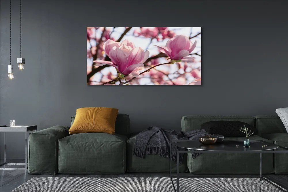 Duży obraz na płótnie Drzewa Magnolii