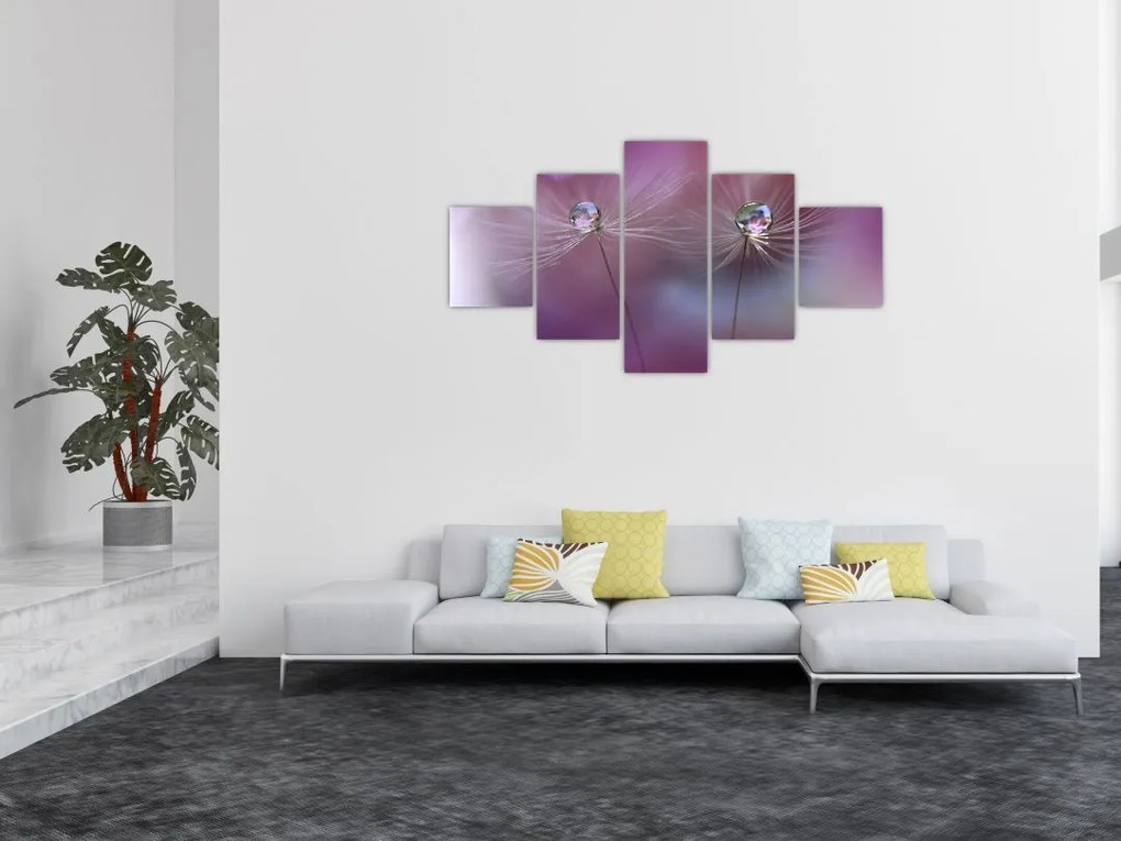 Obraz kropelek na puchu (125x70 cm)