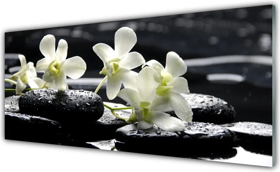 Panel nad blat kuchenny Storczyk Na Gładkich Kamieniach