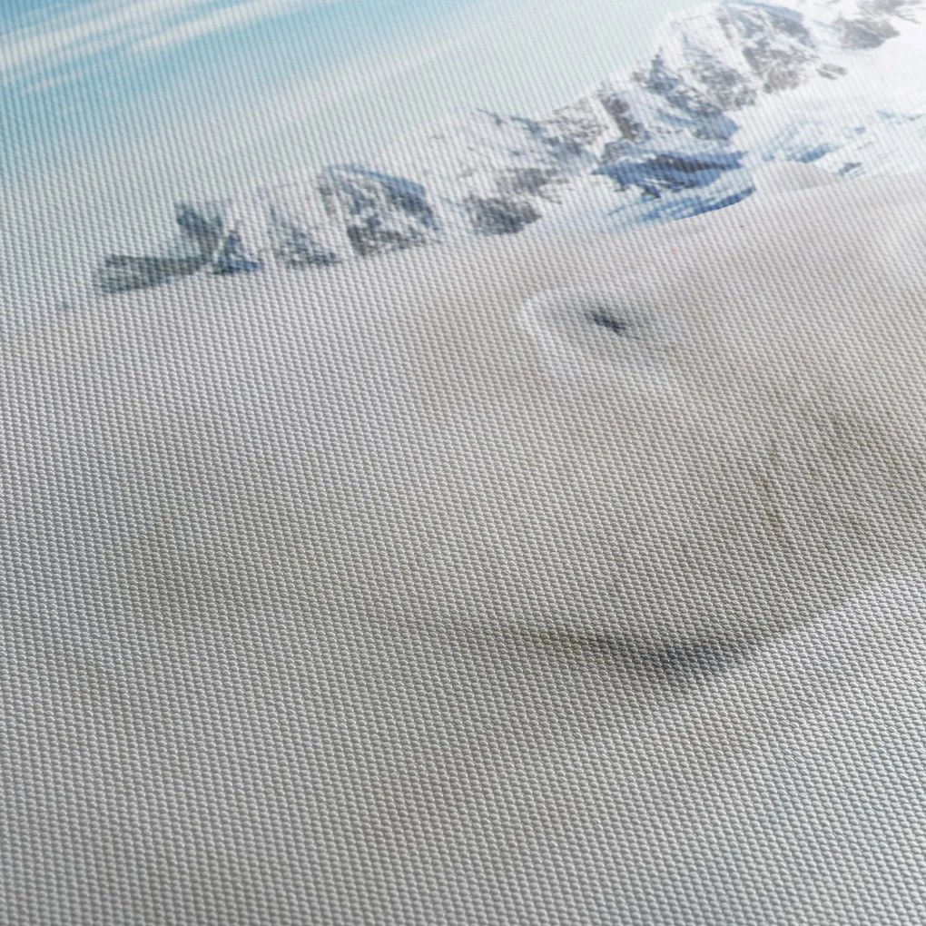 Obraz - Niedźwiedź polarny (170x50 cm)