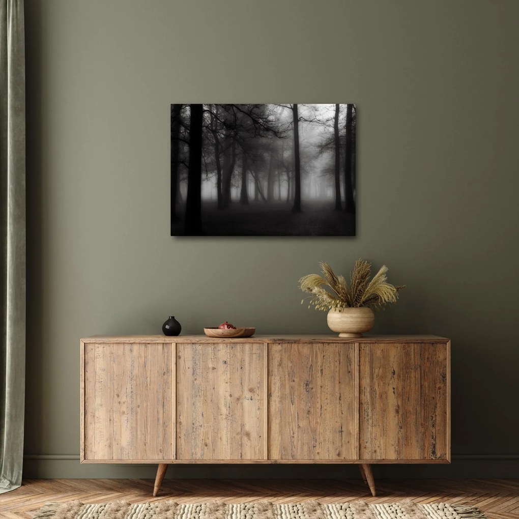 Obraz - Las we mgle (70x50 cm)