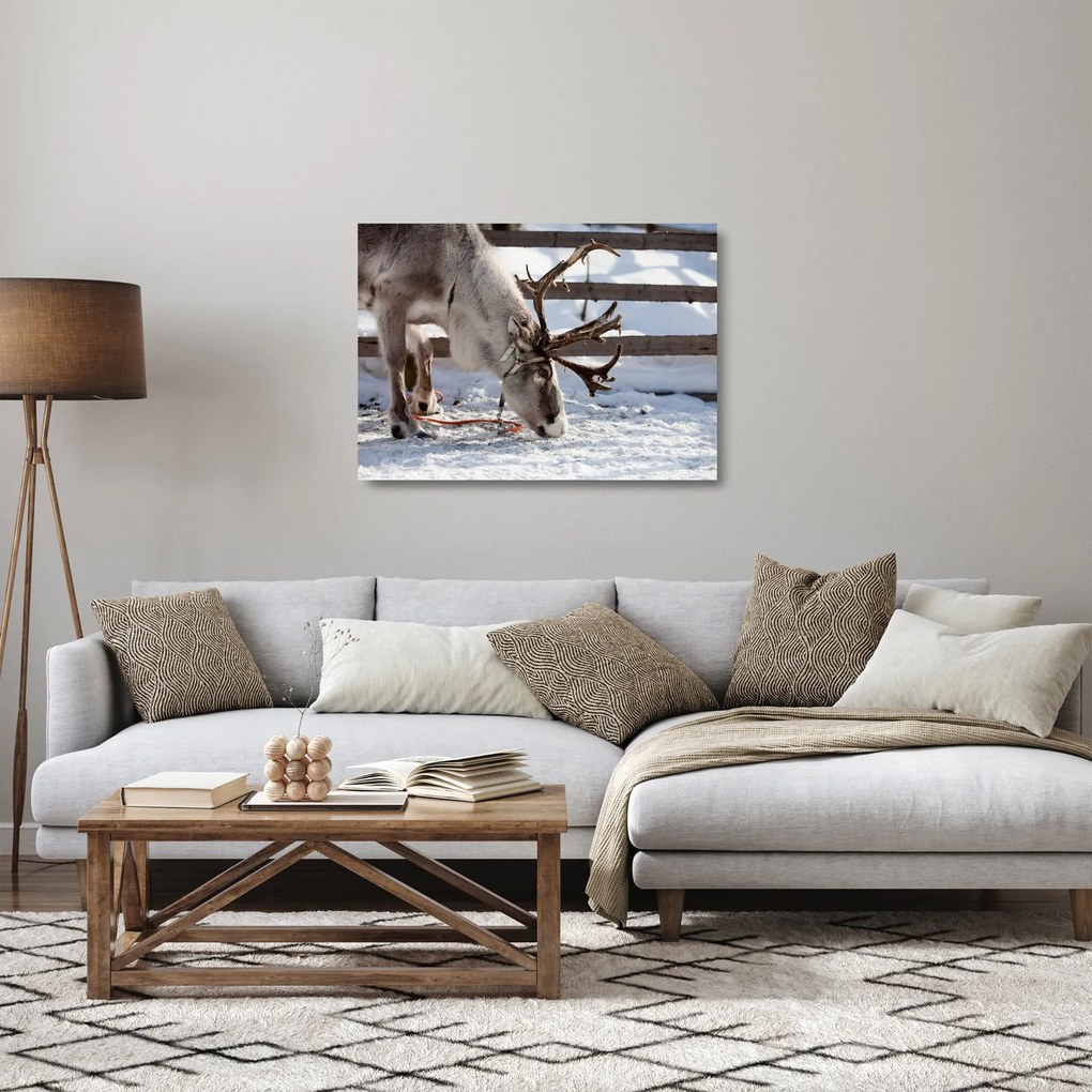 Obraz na szkle - Sat (70x50 cm)