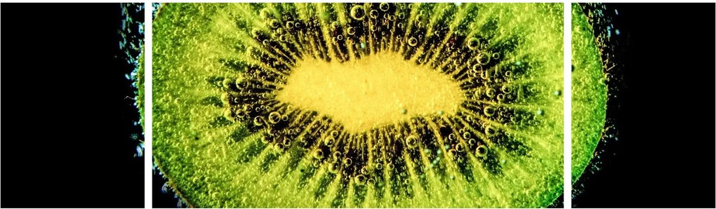 Obraz - szczegół kiwi w wodzie (170x50 cm)