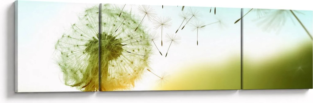 Obraz - Dmuchawiec na wietrze (170x50 cm)