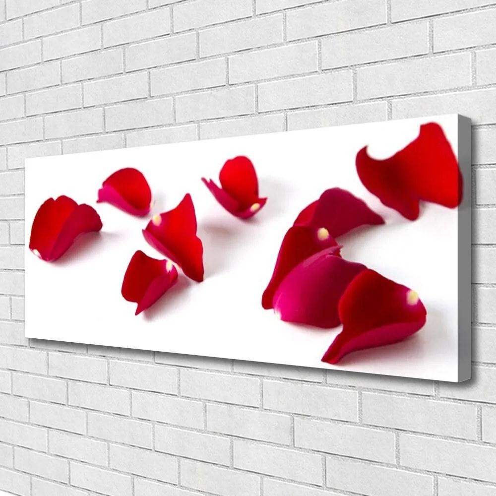 Obraz canvas Makro Płatków Kwiatowych