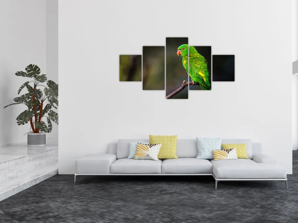 Obraz papugi na gałęzi (125x70 cm)