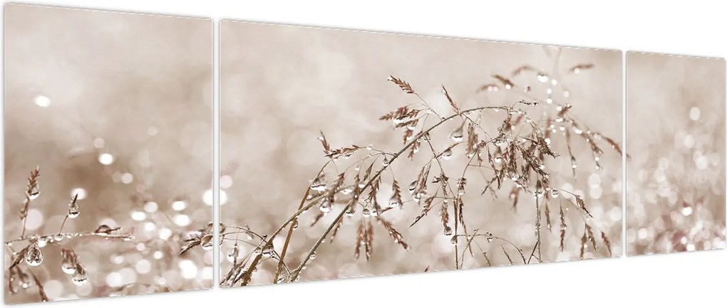 Obraz - Łąka w odcieniach brązu (170x50 cm)