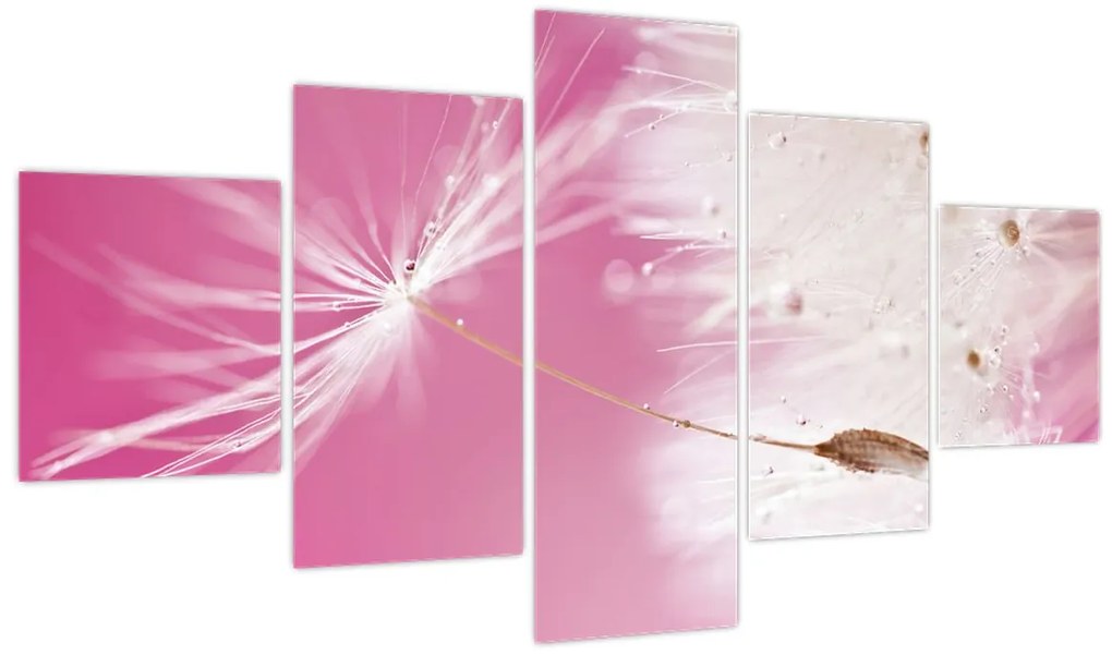 Obraz - Makro kwiat (125x70 cm)
