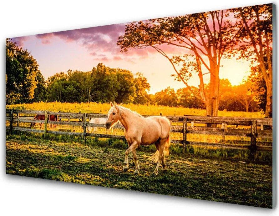 Szkło do Kuchni na Ścianę Dzikie Konie Na Pastwisku