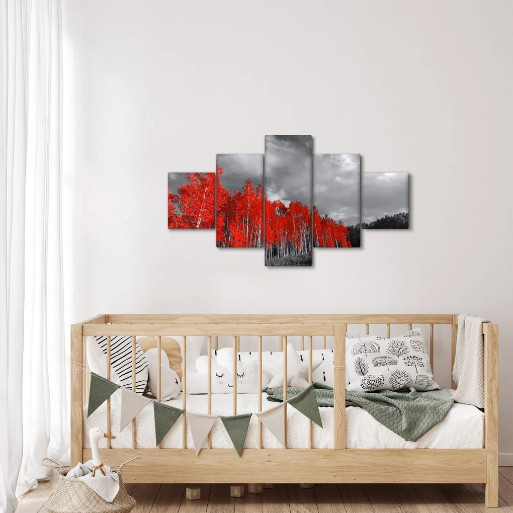 Obraz - Drzewa w kolorze jesieni (125x70 cm)
