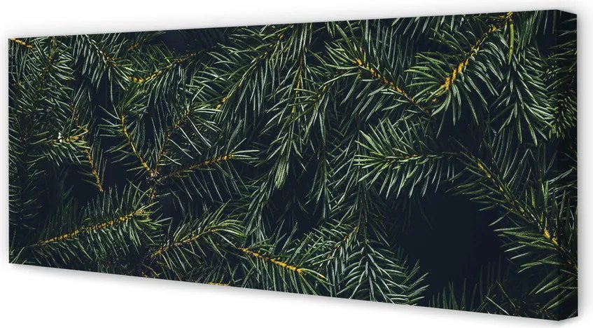 Zdjęcie na płótnie Gałązki i Choinka