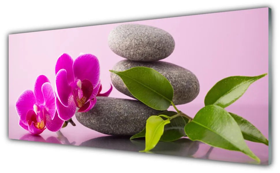 Obraz Akrylowy Kwiat Orchidea Zen Roślina