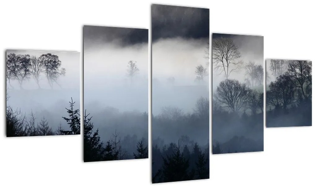 Obraz mgły nad lasem (125x70 cm)
