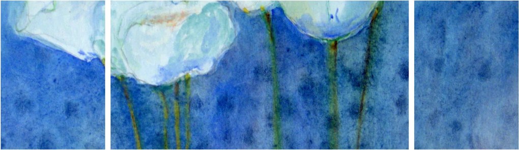 Obraz - Białe tulipany (170x50 cm)