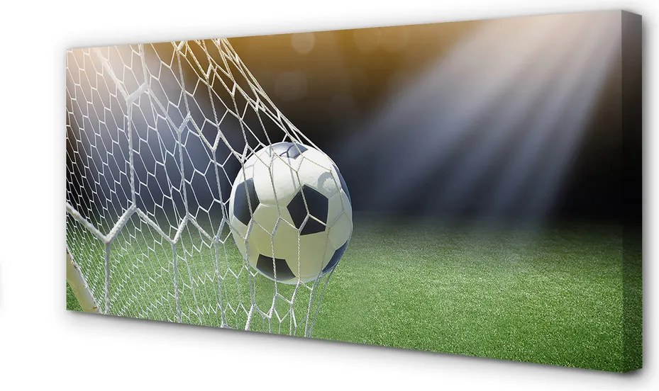 Zdjęcie na płótnie Piłka W Sercu Stadionu