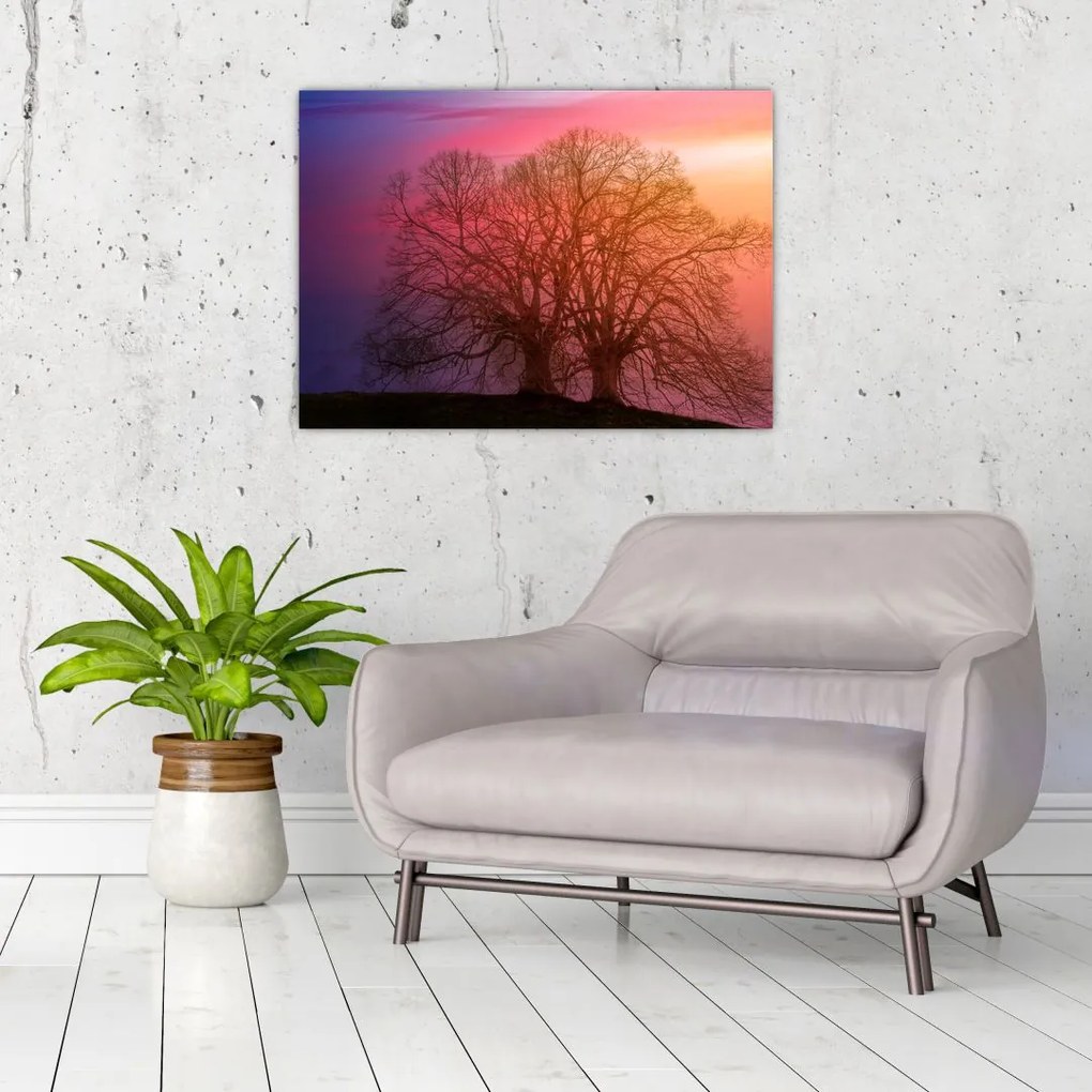 Obraz drzew we mgle (70x50 cm)