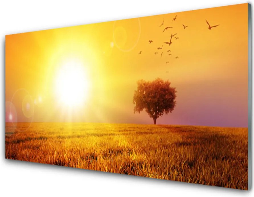 Panel Szklany Wieczorny Lot nad Łąką