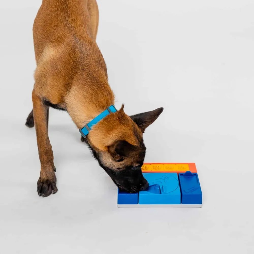 Łamigłówka dla psów Puppy Set – Pawzler