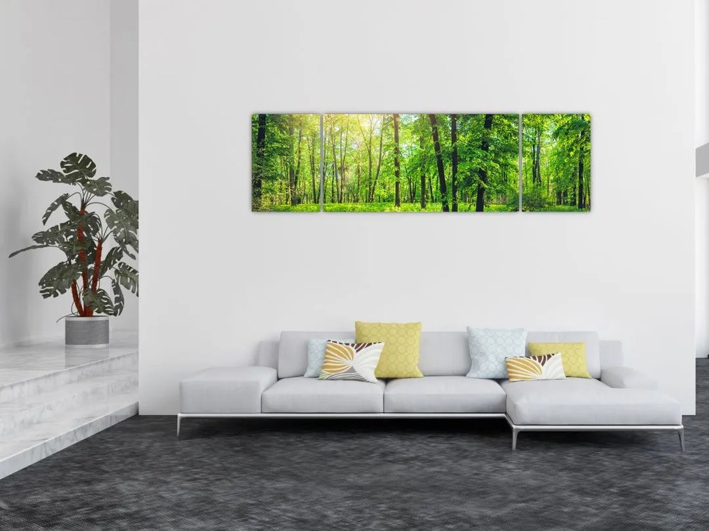 Obraz - Wiosenny las liściasty (170x50 cm)