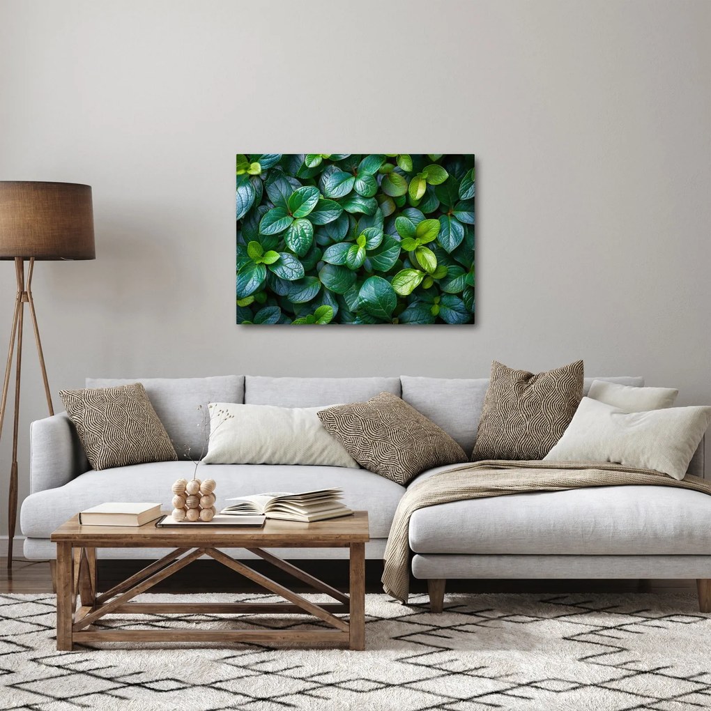 Obraz - Rośliny zielone (70x50 cm)