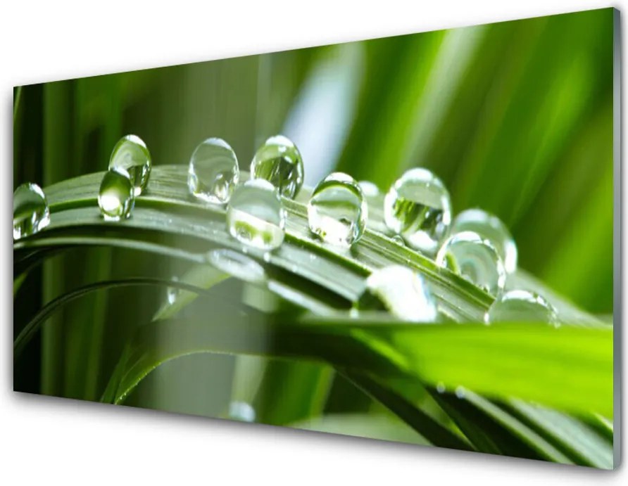 Panel Szklany do Kuchni Krople Rosy na Źdźbłach