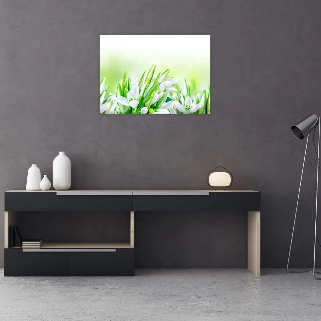 Obraz - Przebiśniegi (70x50 cm)