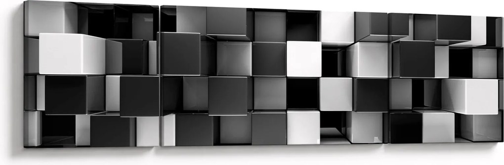 Obraz - Kości (170x50 cm)