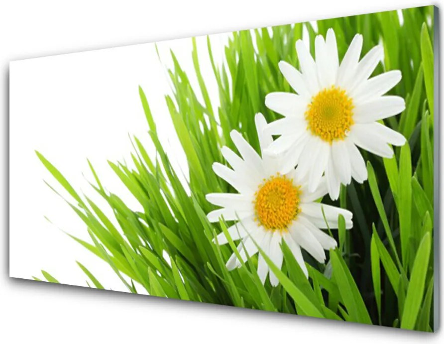 Szkło Dekoracyjne do Kuchni Urok Skromnej Stokrotki