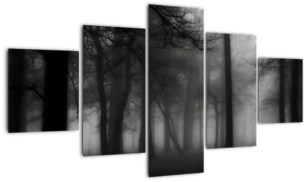 Obraz - Las we mgle (125x70 cm)
