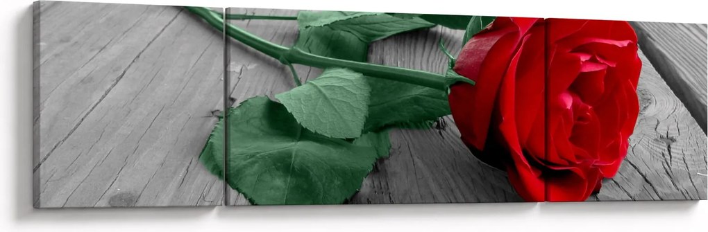 Obraz - Czerwona róża z zieloną łodygą (170x50 cm)