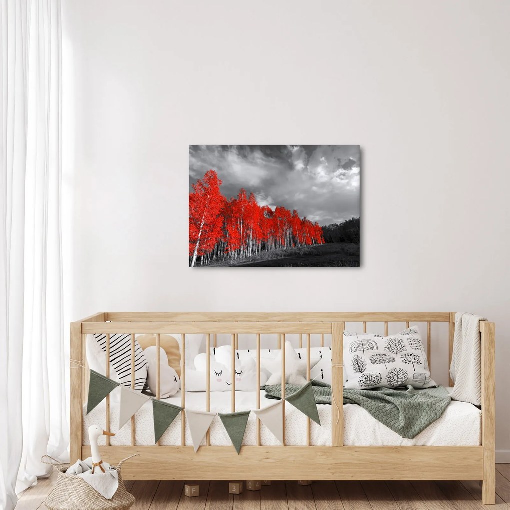 Obraz - Drzewa w kolorze jesieni (70x50 cm)