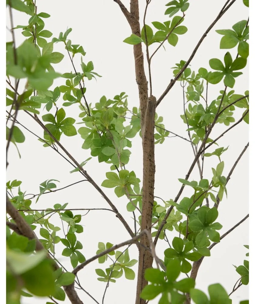 Sztuczna roślina (wysokość 214 cm) Enkianthus – Kave Home