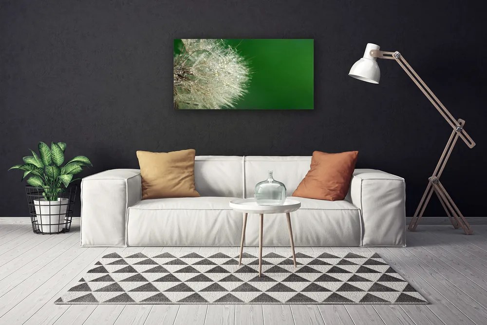 Obraz na płótnie Puszysty Mniszek Lekarski