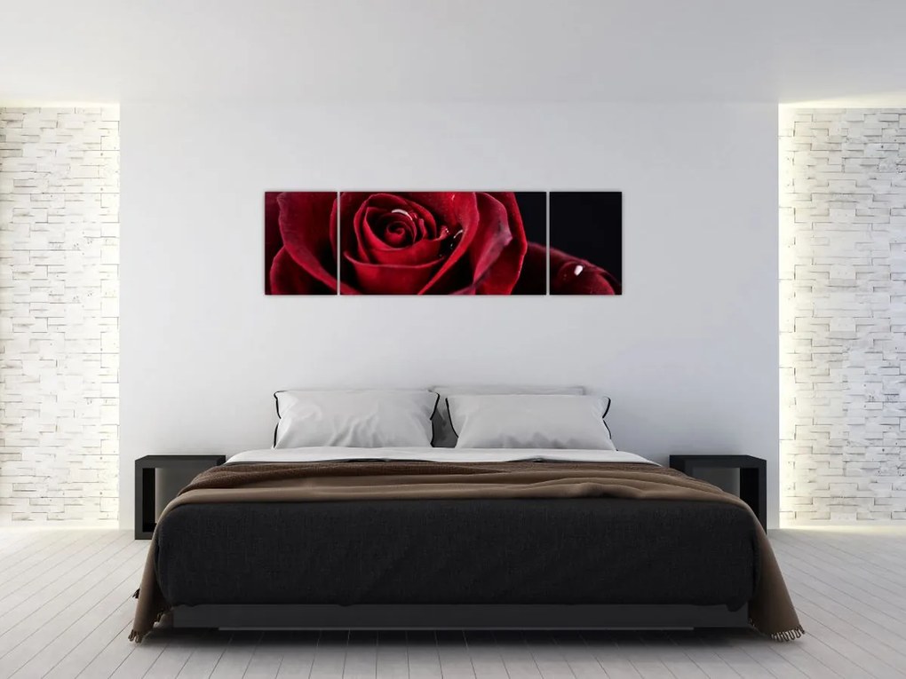 Obraz - Czerwona róża (170x50 cm)