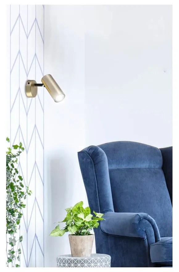 Metalowa lampa punktowa w kolorze złota 8x16 cm Colly – Candellux Lighting