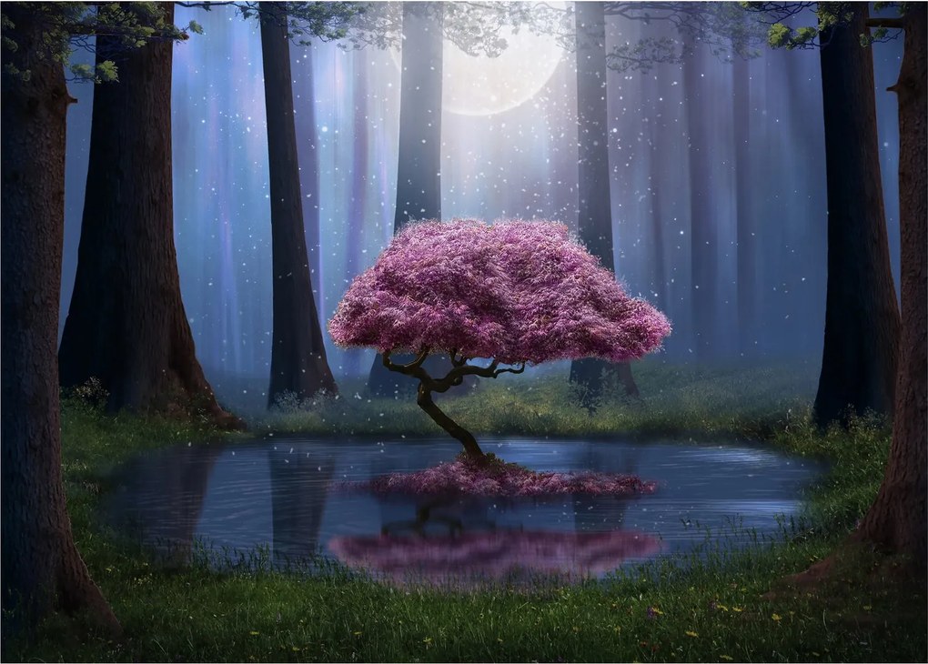 Obraz - Magiczna noc (70x50 cm)