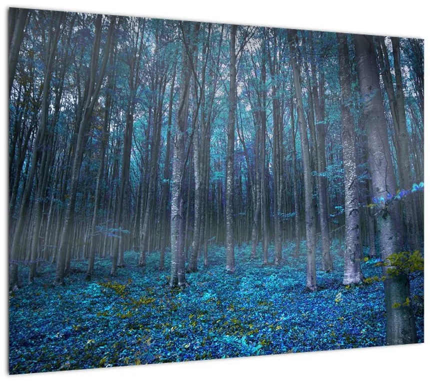 Obraz na szkle - Magiczny las (70x50 cm)