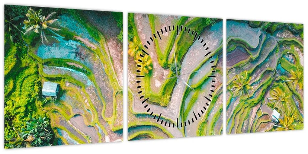 Obraz pól ryżowych z lotu ptaka (z zegarem) (90x30 cm)