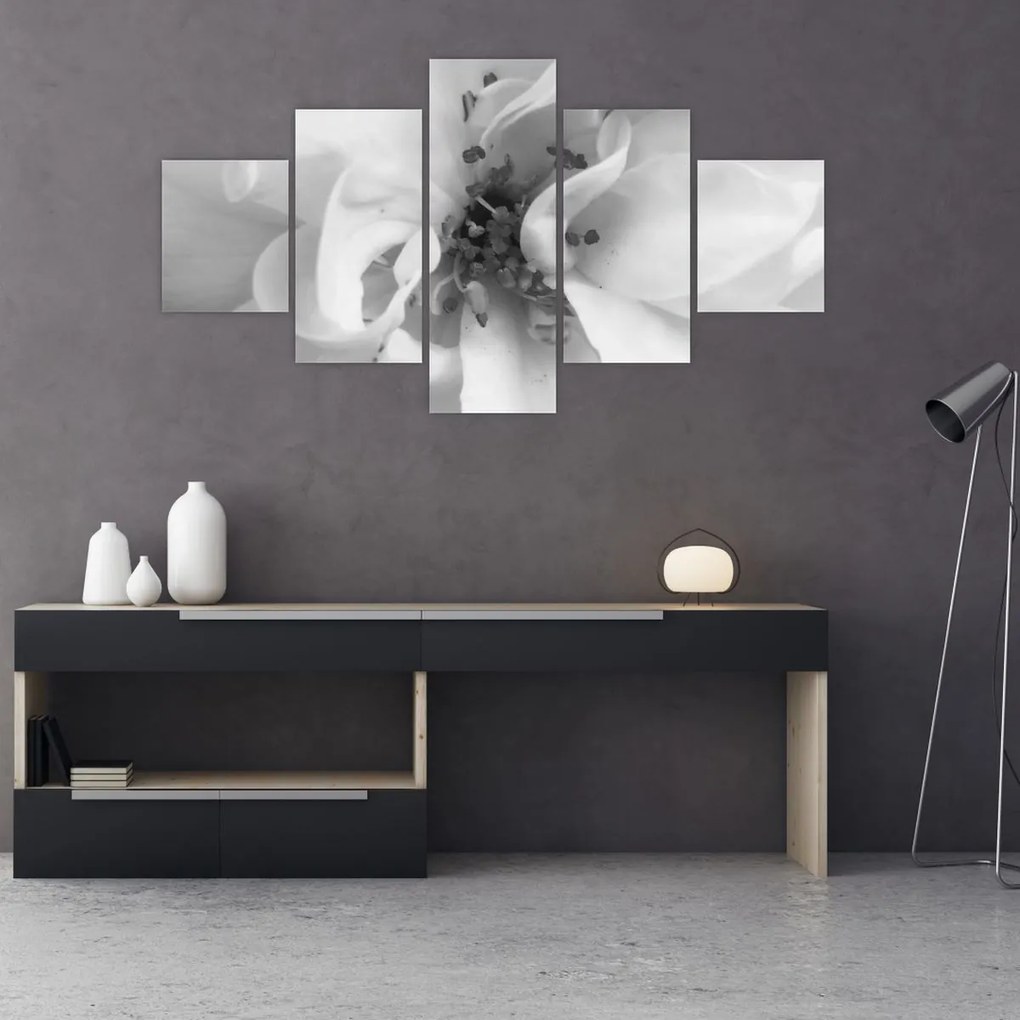 Obraz - Kwiat, czarno - biały (125x70 cm)