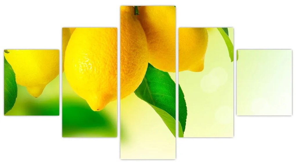 Obraz cytryn (125x70 cm)