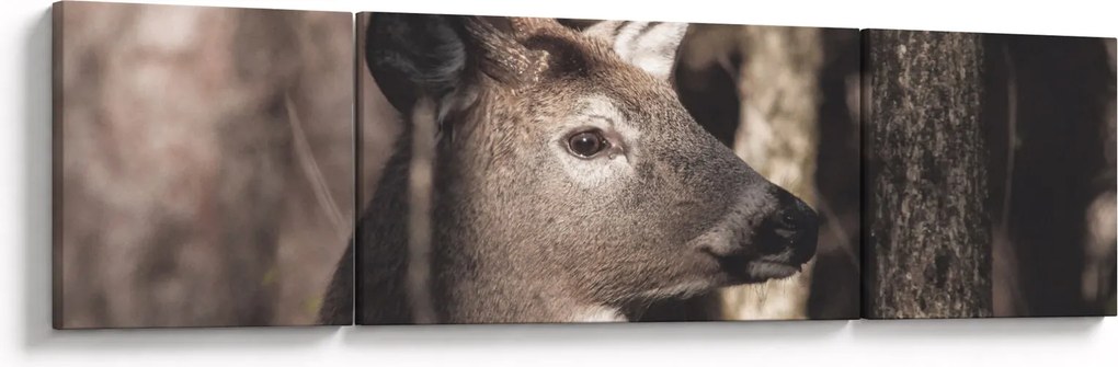Obraz - Jeleń w lesie (170x50 cm)
