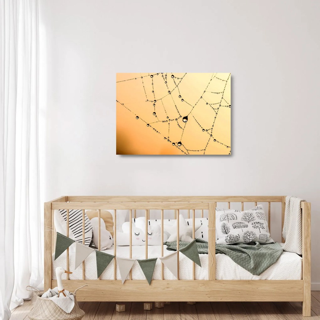 Obraz na szkle - zroszona pajęczyna (70x50 cm)