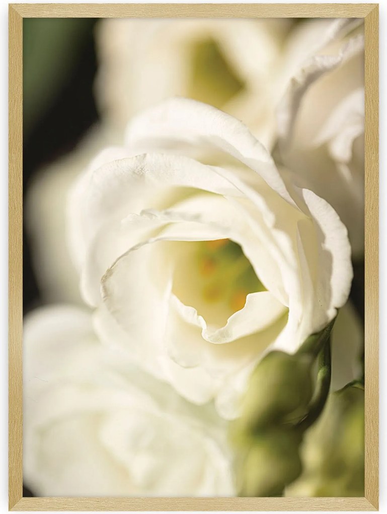 Plakat Flower Wall