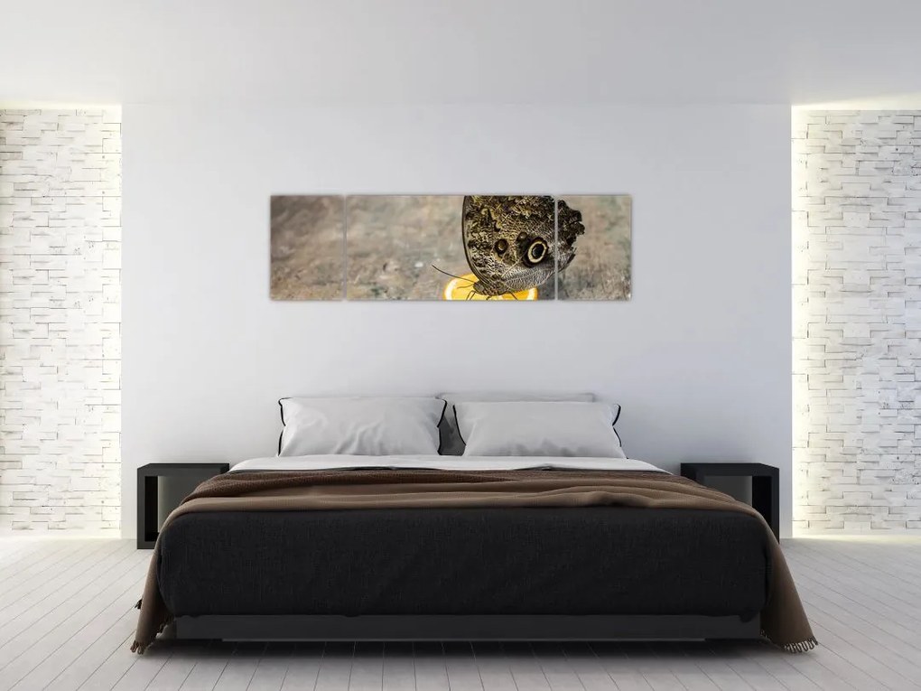 Obraz motyla (170x50 cm)