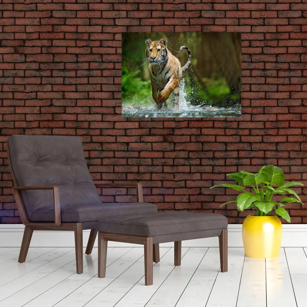 Obraz na szkle - biegnący tygrys (70x50 cm)